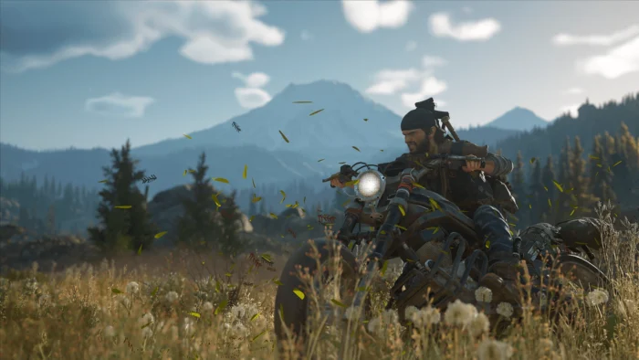 Days Gone - Image 7